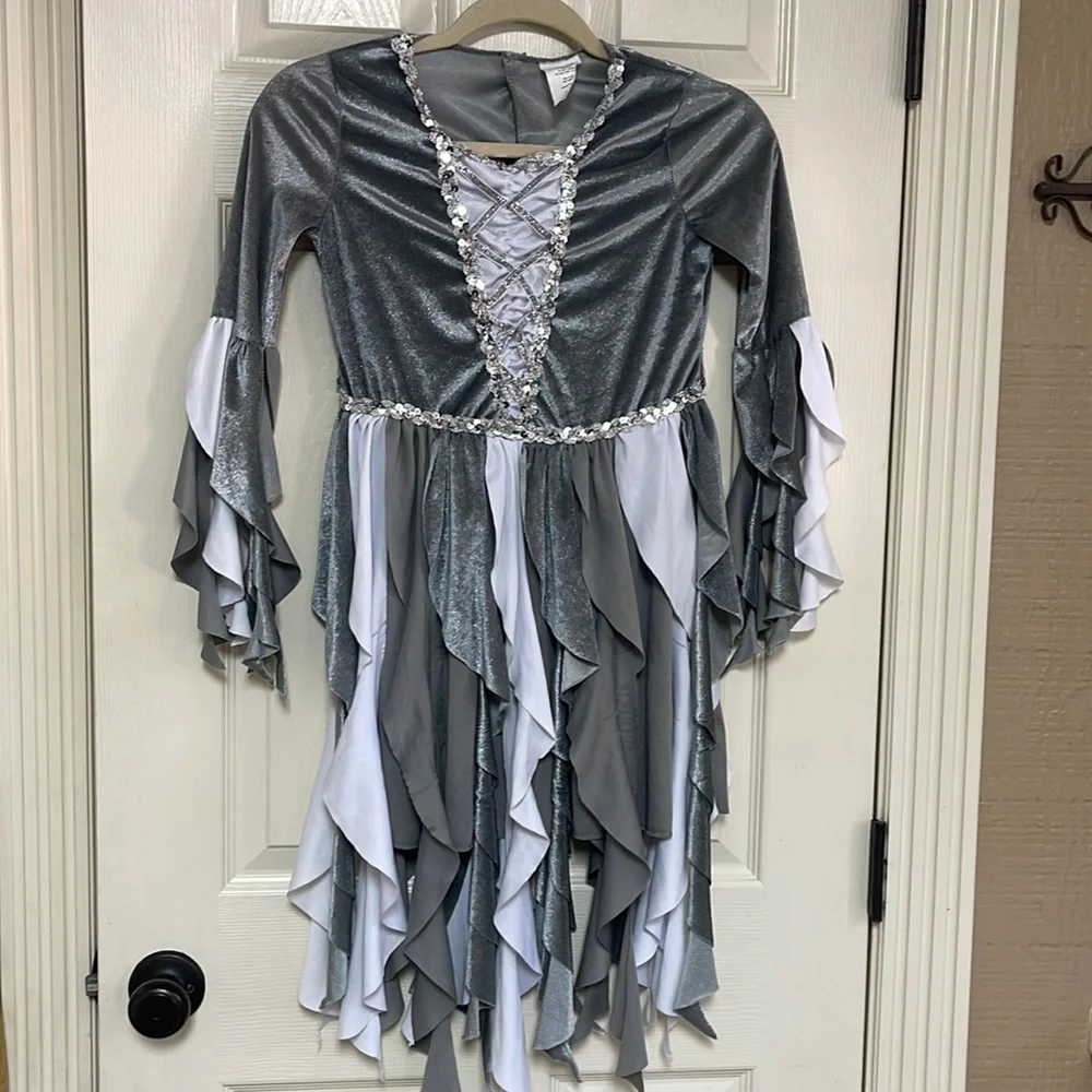 Costume. Girls size medium. See pictures! Used condition!